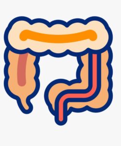 캡처_2025_08_19_10_03_40_995