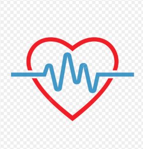 캡처_2025_08_19_10_53_03_625